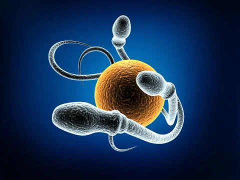 Sperm Stock Illustration