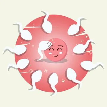 Sperm impregnate a fertile egg vector illustration Stock Illustration