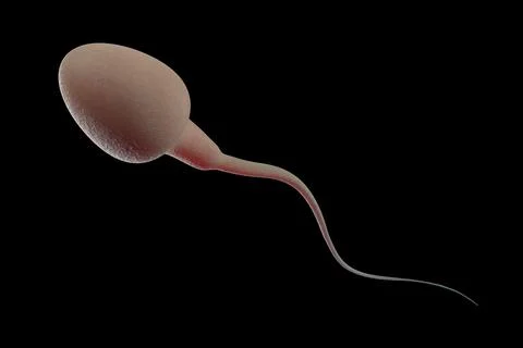 Sperm isolated on black Stock Photos