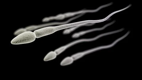 Sperm macro on the black background Stock Illustration