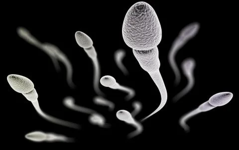 Sperm with macro on black background Stock Illustration