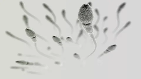 Sperm macro on light background Stock Illustration