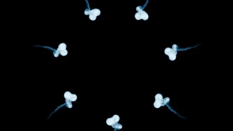 Sperm-Motility Stock Footage 314043308