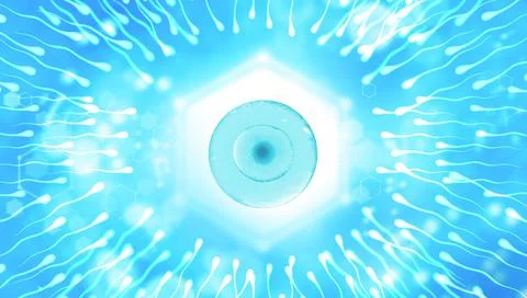 Sperm, movement to the egg on a blue background. 3d rendering. Medical banner Stock Illustration