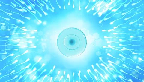 Sperm, movement to the egg on a blue background. 3d rendering. Medical banner Stock Illustration