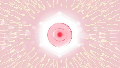 Sperm, movement to the egg on a blue background. 3d rendering. Medical banner Stock Illustration