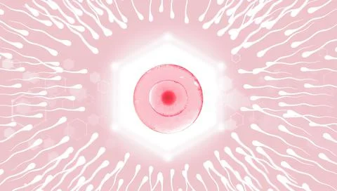 Sperm, movement to the egg in hexagon on a pink background. 3d rendering Stock Illustration