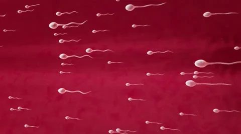 Sperm moves Stock Footage 23458904
