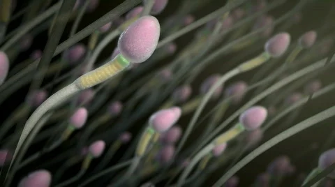 Sperm race! Video stock 495082
