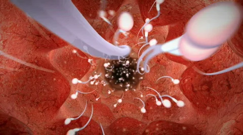 Sperm race! Video stock 495197