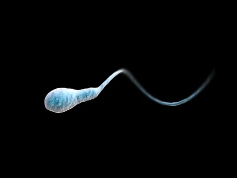 Sperm Single Spinning at various speeds with alpha channel Stock Footage 72742543