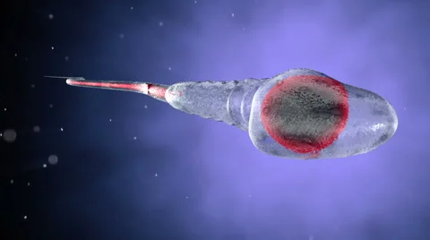 Sperm, spermatozoons on organic background. Alpha matte included. Stock-Footage 56574934