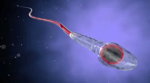 Sperm, spermatozoons on organic background. Alpha matte included. Stock Footage 56575121
