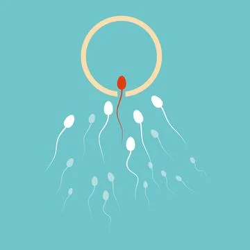 Sperm struggle to conquer the human egg Illustrazione stock