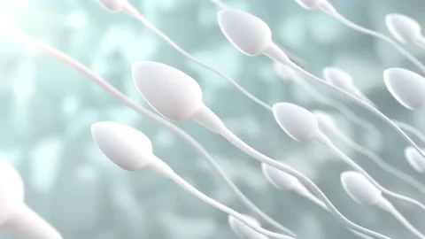 Sperm Swimming. A group of sperm flows towards the cell in the space of the o Stock Footage 163736925