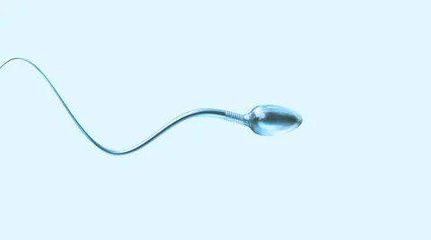 Sperm swimming from left to right Stock Footage 41755221