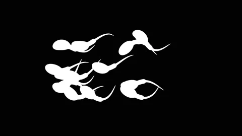 Sperm swimming towards human egg. Stock Footage 234064153