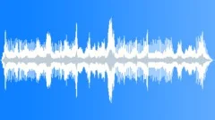 Sperm Whale Clear Echolocation Sound Effect