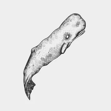 Sperm Whale Dotwork Stipple Vector Illustration Stock Illustration