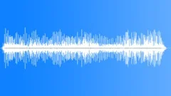 Sperm Whale Echolocation Clicks Sound Effect