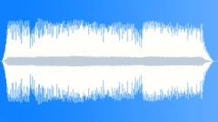 Sperm Whale Echolocation Clicks Sound Effect