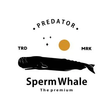 Sperm whale logo vector outline silhouette art icon Stock Illustration