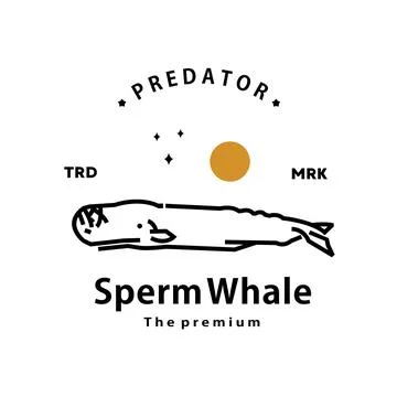 Sperm whale logo vector outline monoline art icon Stock Illustration