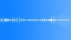 Sperm Whale Single Sperm Sound Effect