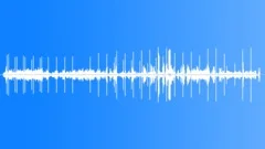 Sperm Whale Sperm Whale Sound Effect