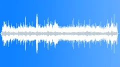 Sperm Whale Sperm Whale Sound Effect