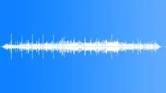 Sperm Whale Sperm WhaleS Sound Effect