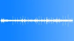 Sperm Whale Sperm WhaleS Sound Effect