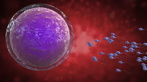 Sperm03 库存影片 137484167