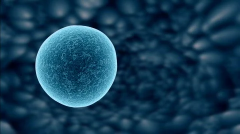 Spermatozoa 03 Video stock 372562