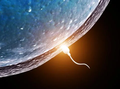 Spermatozoon, floating to ovule Stock Illustration