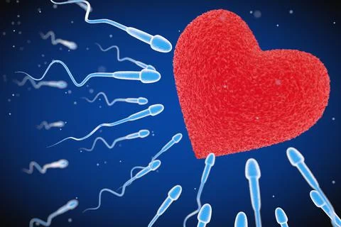 Spermatozoon going to the Ovule in Shape of Red Heart. 3d Rendering Stock Illustration