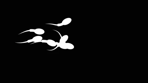 Spermatozoon moving to egg cell. Animation of human sperm Stock Footage 149490328