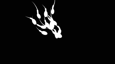 Spermatozoon moving to egg cell. Animation of human sperm Stock Footage 149490334