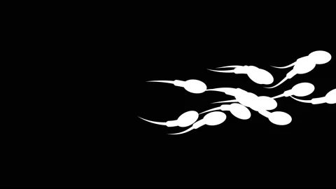 Spermatozoon moving to egg cell. Animation of human sperm Stock Footage 149490335