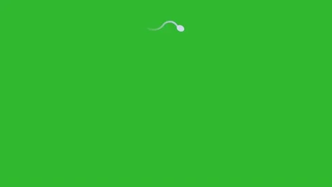 Spermatozoon moving to egg cell. Animation of human sperm. Stock Footage 202084681