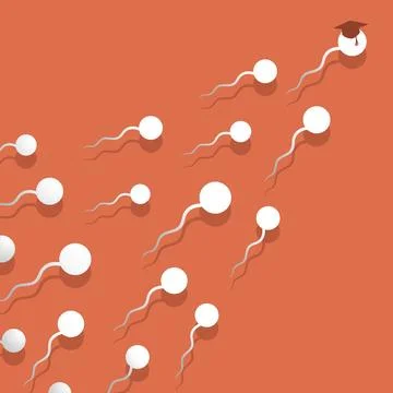 Spermatozoon Stock Photos