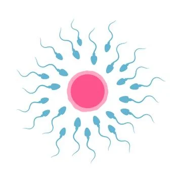 Spermatozoons and egg illustration. Vector. Isolated EPS10. Stock Illustration