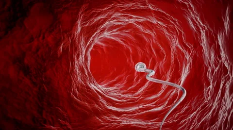 Spermatozoons, floating to ovule - 3d render. 4k video Stock Footage 56453273