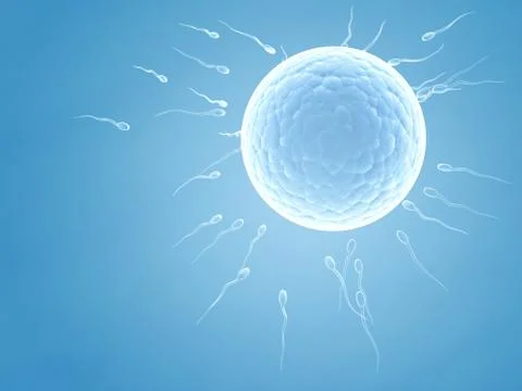 Spermatozoons, floating to ovule Stock Illustration