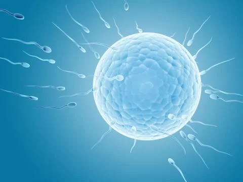 Spermatozoons, floating to ovule Stock Illustration