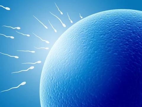 Spermatozoons, floating to ovule Stock Illustration