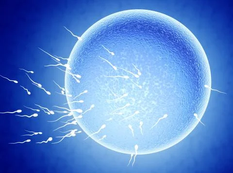 Spermatozoons, floating to ovule Stock Illustration