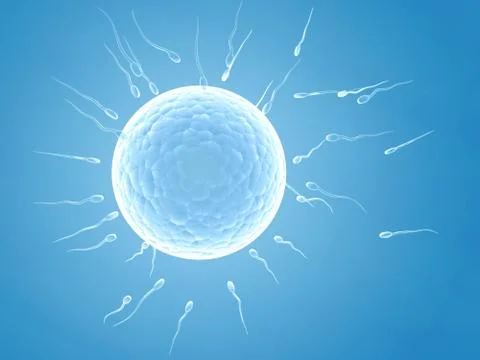 Spermatozoons, floating to ovule Stock Illustration