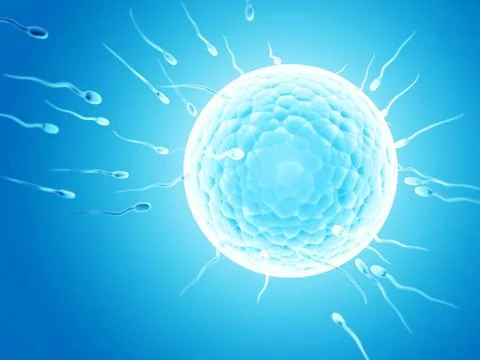 Spermatozoons, floating to ovule Stock Illustration