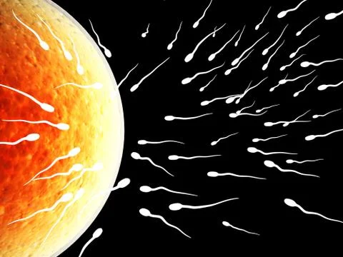 Spermatozoons, floating to ovule Stock Illustration